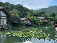 -杭州开元森泊度假乐园