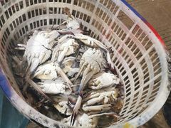 -中国舟山国际水产城