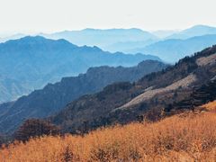 -朱雀国家森林公园