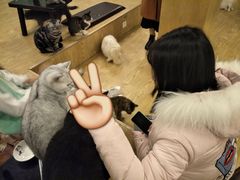 -萌喵咖啡屋(人民东路4号口M16商铺店)