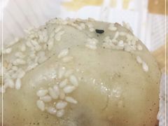 -小杨生煎(火车站北广场店)