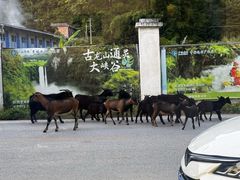 -德天丽水风味馆