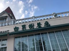 门面-青岛海景花园大酒店·白果树餐厅青岛菜