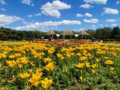 -长春公园(普阳街道)