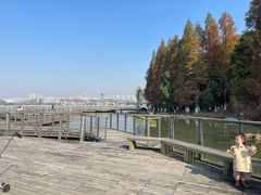 -金鸡湖桃花岛