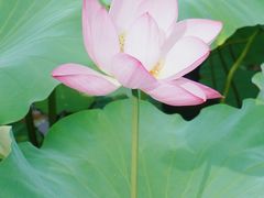-贵州省植物园