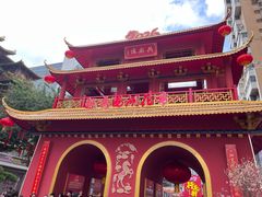 -越秀西湖花市(广州城市广场花卉店)
