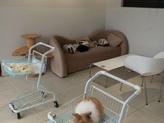 -怪兽屋·羊驼·猫咖·狗咖(俊华广场店)