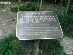 -杭州黄龙洞