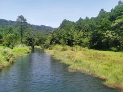 -海南热带雨林国家公园吊罗山景区
