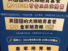 -瑞派名望志远动物医院·猫科·內科·异宠专科(直港大道店)