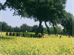 -长白岛森林公园