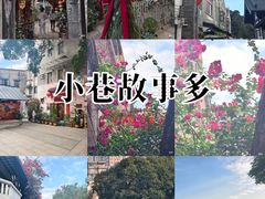 -荔湾湖公园