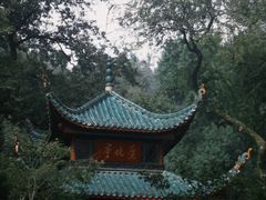 -饭怕鱼·黄焖鲟龙鱼(湖大店)