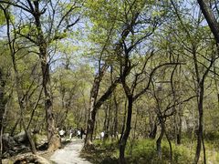 -玉渡山自然风景区