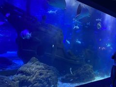 -江和美海洋公园