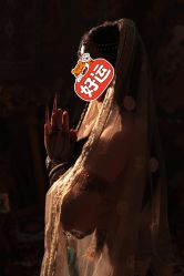 -四叶草环球旅拍