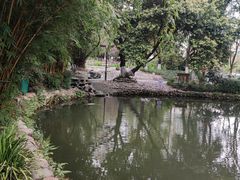 -成都市活水公园