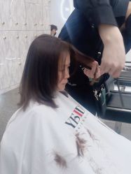 -YESIDO椰岛造型
