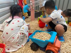 -米兜欢乐王国·儿童乐园(宝安益田假日天地店)