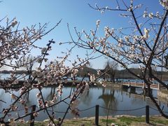-石湖景区