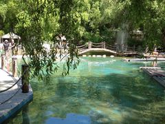 -大鹅岛绿色生态美食园