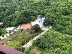 -清溪大王山森林公园