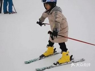 这是谁家的宝宝啊，滑雪也太帅了吧
