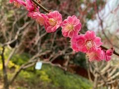 -静安雕塑公园