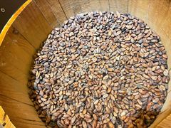 -歌斐颂巧克力小镇