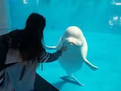 -泉城欧乐堡海洋极地世界