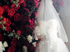 -蓝山四季西餐植物店