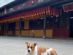 -龙华寺