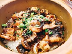 -红星光发煲仔饭(大石街店)