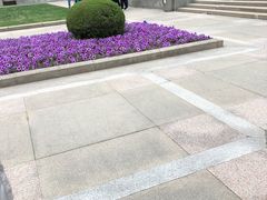 景点-上海市龙华烈士陵园