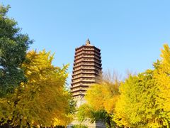 -玲珑塔公园