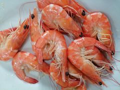 -源海渔村·现捞海鲜(闸坡店)