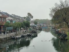 -莲花岛景区
