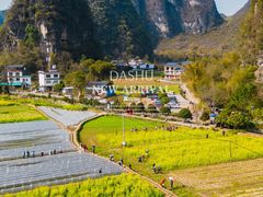 -村上春树