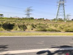 -王借岗森林公园