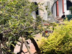 -东莞市可园博物馆