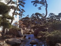 -罗红摄影艺术馆