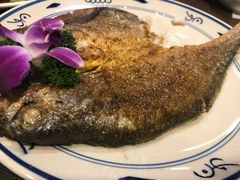 -潮双喜正宗澄海狮头鹅华利路店