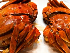 -呼吸森林·生态农庄农家乐私房菜