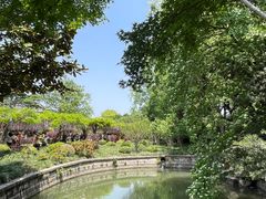 -嘉定紫藤园