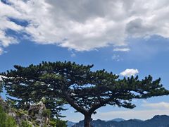 -圣莲山风景区