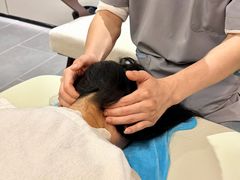 -通透堂中医·精准推拿(旗舰店)