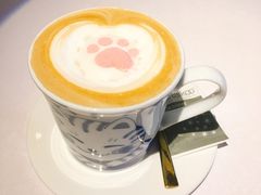 -喵屿·大理花园猫咖