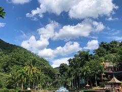 -西双版纳原始森林公园