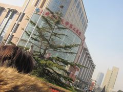 -天津医科大学第二医院